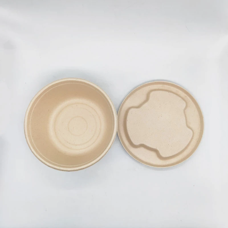 bagasse box