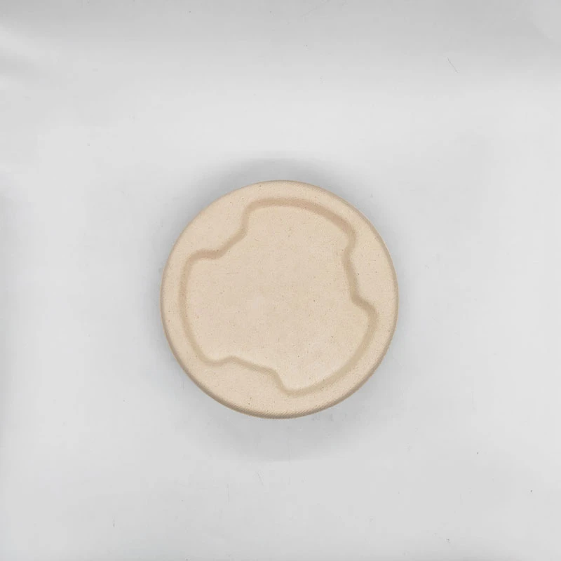 bagasse behållare