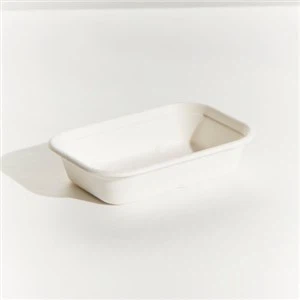 Takeaway Sugarcane Rectangle Bowl Salladslåda